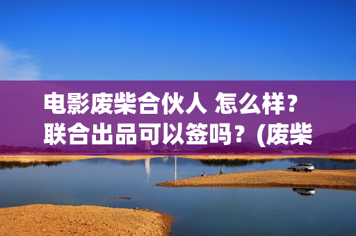电影废柴合伙人 怎么样？ 联合出品可以签吗？(废柴组合)