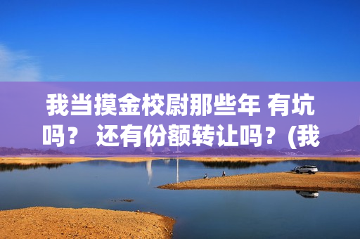 我当摸金校尉那些年 有坑吗？ 还有份额转让吗？(我当摸金校尉结局知乎)