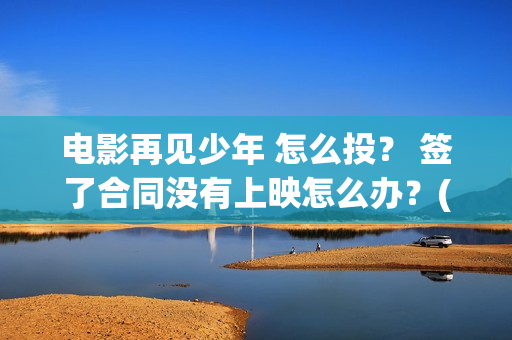 电影再见少年 怎么投？ 签了合同没有上映怎么办？(电影再见少年剧情介绍)