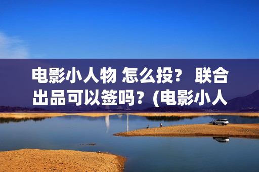 电影小人物 怎么投？ 联合出品可以签吗？(电影小人物的画)