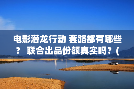 电影潜龙行动 套路都有哪些？ 联合出品份额真实吗？(潜龙行动免费)