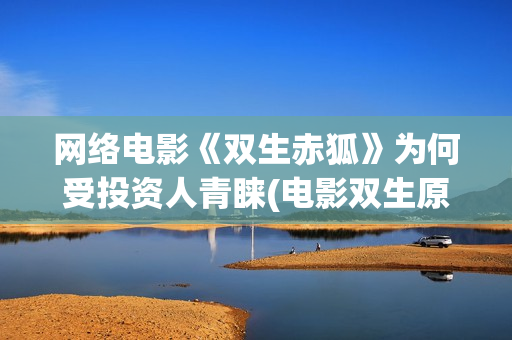 网络电影《双生赤狐》为何受投资人青睐(电影双生原著小说)