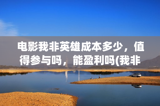电影我非英雄成本多少，值得参与吗，能盈利吗(我非英雄在线播放大地影院)