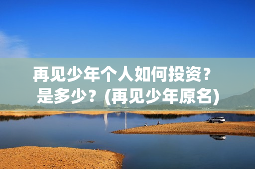 再见少年个人如何投资？ 是多少？(再见少年原名)