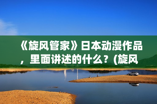 《旋风管家》日本动漫作品，里面讲述的什么？(旋风管家第一季ova)