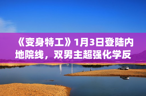 《变身特工》1月3日登陆内地院线，双男主超强化学反应(《变身特工》)