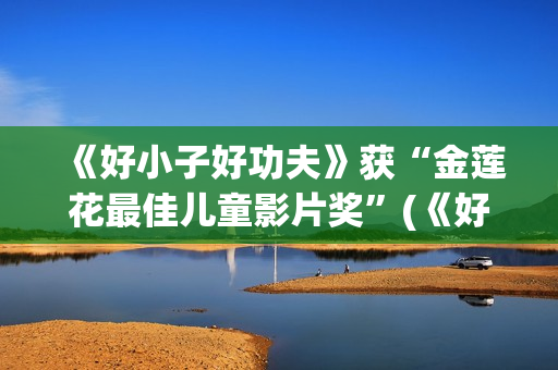《好小子好功夫》获“金莲花最佳儿童影片奖”(《好小子好功夫》歌词)