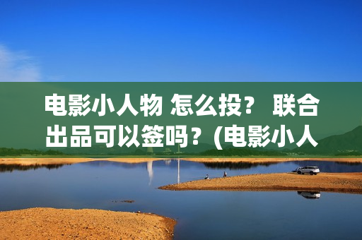 电影小人物 怎么投？ 联合出品可以签吗？(电影小人物到底是谁)