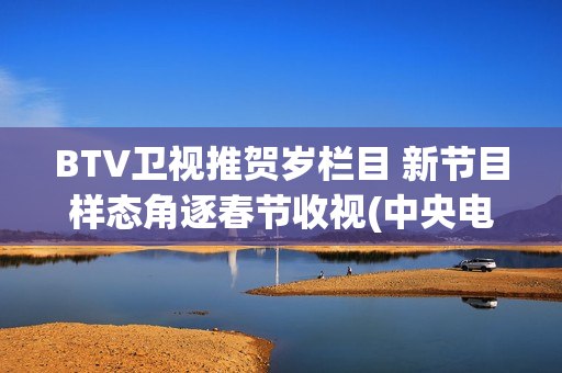 BTV卫视推贺岁栏目 新节目样态角逐春节收视(中央电视台贺岁杯)
