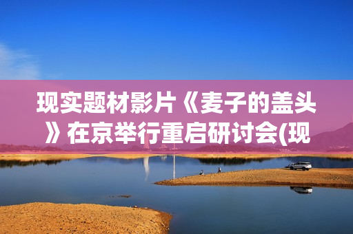 现实题材影片《麦子的盖头》在京举行重启研讨会(现实题材高分电影)