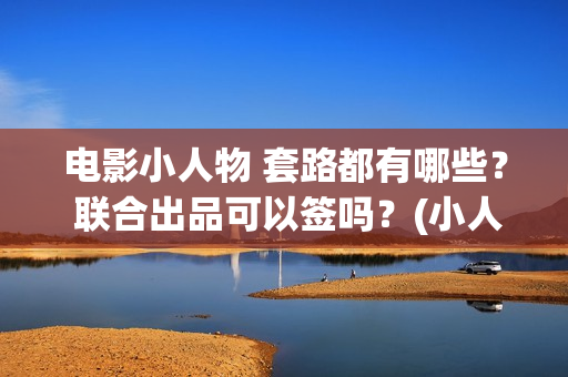 电影小人物 套路都有哪些？ 联合出品可以签吗？(小人物 电影 彩蛋)
