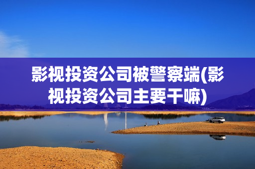 影视投资公司被警察端(影视投资公司主要干嘛)