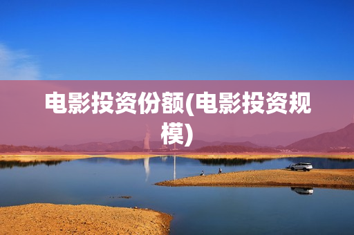 电影投资份额(电影投资规模)
