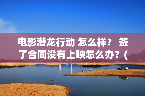 电影潜龙行动 怎么样？ 签了合同没有上映怎么办？(电影潜龙行动演员表)