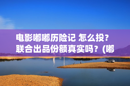 电影嘟嘟历险记 怎么投？ 联合出品份额真实吗？(嘟嘟生活历险记)
