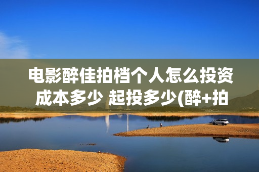 电影醉佳拍档个人怎么投资 成本多少 起投多少(醉+拍档)