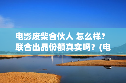 电影废柴合伙人 怎么样？ 联合出品份额真实吗？(电影废柴合伙人免费观看)