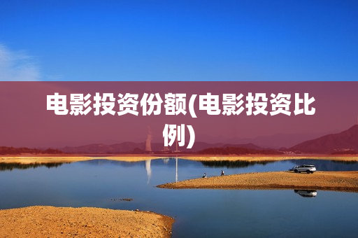 电影投资份额(电影投资比例)