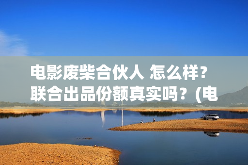电影废柴合伙人 怎么样？ 联合出品份额真实吗？(电影废柴合伙人在线观看)