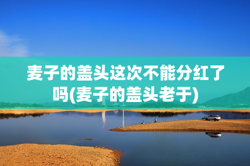 麦子的盖头这次不能分红了吗(麦子的盖头老于)
