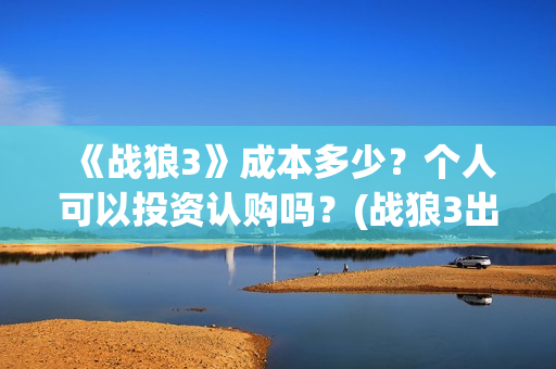 《战狼3》成本多少？个人可以投资认购吗？(战狼3出品公司)