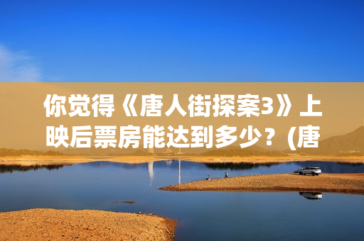 你觉得《唐人街探案3》上映后票房能达到多少？(唐人街讲的什么意思)