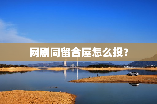网剧同留合屋怎么投？