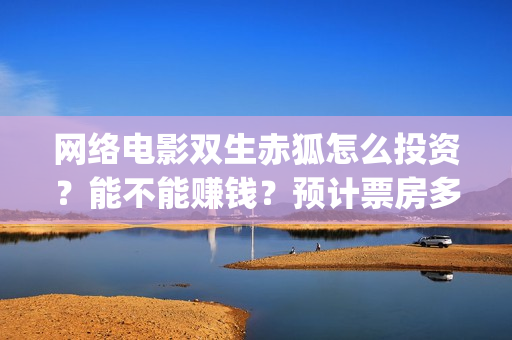 网络电影双生赤狐怎么投资？能不能赚钱？预计票房多少(双生赤狐免费观看星辰影院)