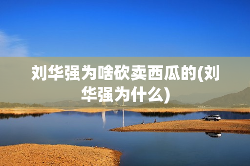 刘华强为啥砍卖西瓜的(刘华强为什么)