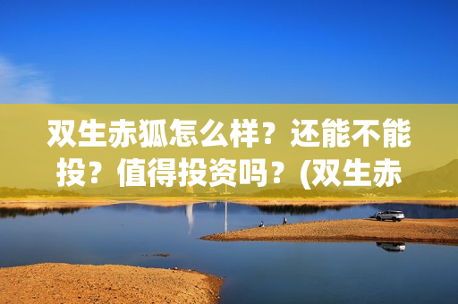 双生赤狐怎么样？还能不能投？值得投资吗？(双生赤狐角色介绍)
