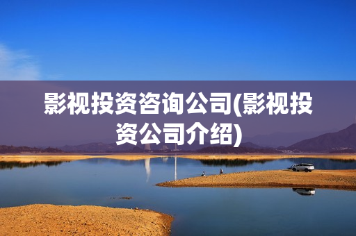 影视投资咨询公司(影视投资公司介绍)