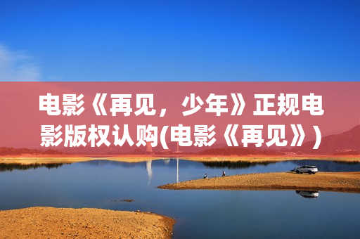 电影《再见，少年》正规电影版权认购(电影《再见》)