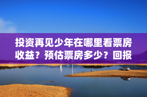 投资再见少年在哪里看票房收益？预估票房多少？回报率(再见少年个人投资真实吗)