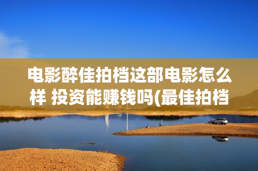 电影醉佳拍档这部电影怎么样 投资能赚钱吗(最佳拍档之醉街拍档 电影免费国语)