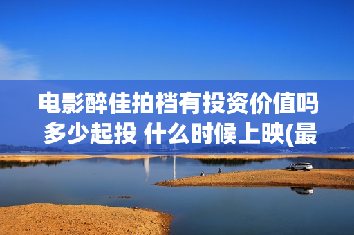 电影醉佳拍档有投资价值吗 多少起投 什么时候上映(最佳拍档之醉街拍档1997粤语)