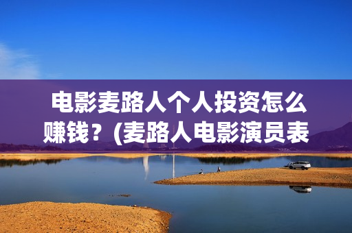  电影麦路人个人投资怎么赚钱？(麦路人电影演员表)