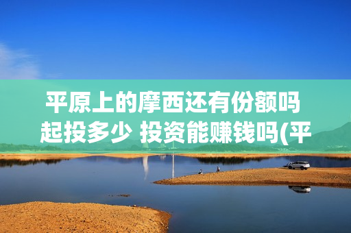 平原上的摩西还有份额吗 起投多少 投资能赚钱吗(平原上的摩西究竟讲的什么)