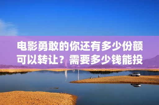 电影勇敢的你还有多少份额可以转让？需要多少钱能投资？(电影 勇敢的你)