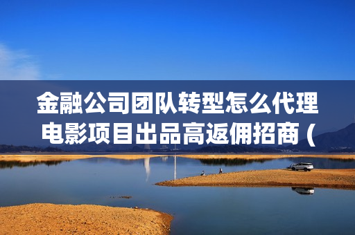 金融公司团队转型怎么代理电影项目出品高返佣招商 (金融公司团队转型方案)