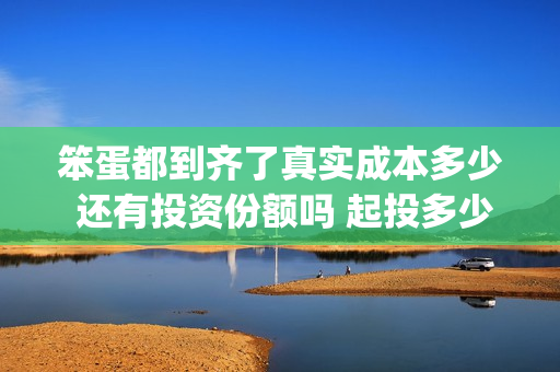 笨蛋都到齐了真实成本多少 还有投资份额吗 起投多少(笨蛋下一句是什么)