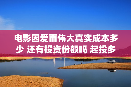 电影因爱而伟大真实成本多少 还有投资份额吗 起投多少(因爱而伟大电影简介)