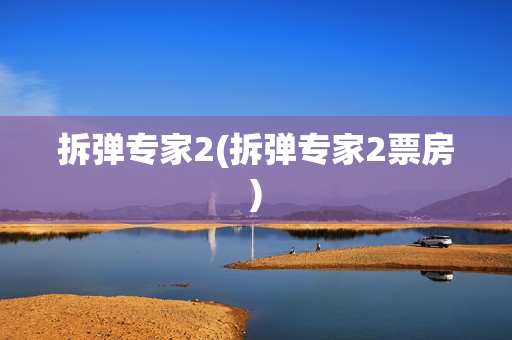 拆弹专家2(拆弹专家2票房)
