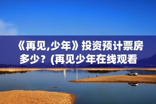 《再见,少年》投资预计票房多少？(再见少年在线观看免费完整版)
