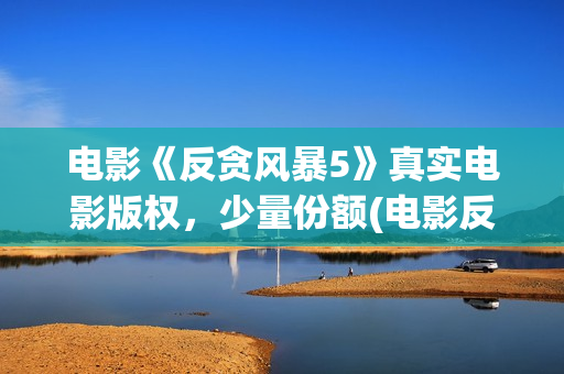 电影《反贪风暴5》真实电影版权，少量份额(电影反贪风暴3(普通话)在线观看)