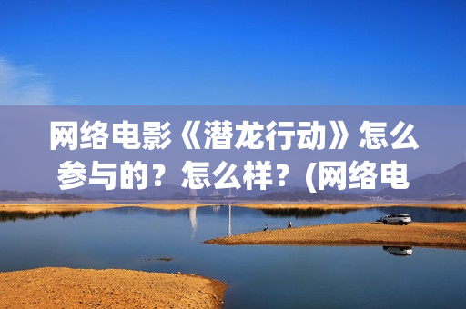 网络电影《潜龙行动》怎么参与的？怎么样？(网络电影《潜龙》演员表)