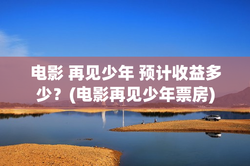 电影 再见少年 预计收益多少？(电影再见少年票房)