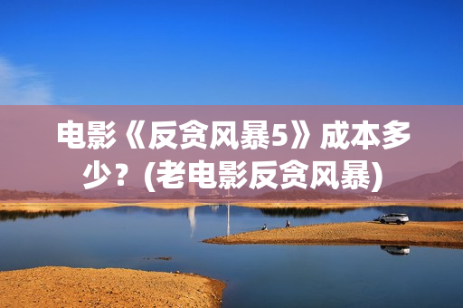 电影《反贪风暴5》成本多少？(老电影反贪风暴)