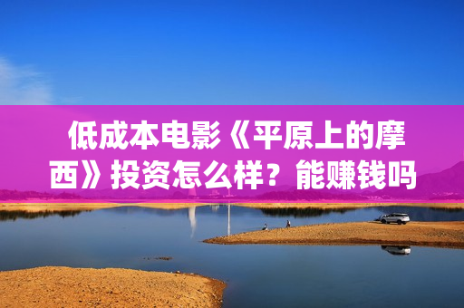  低成本电影《平原上的摩西》投资怎么样？能赚钱吗？(低成本高口碑电影)
