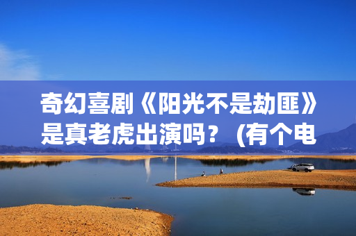 奇幻喜剧《阳光不是劫匪》是真老虎出演吗？ (有个电影叫什么阳光)