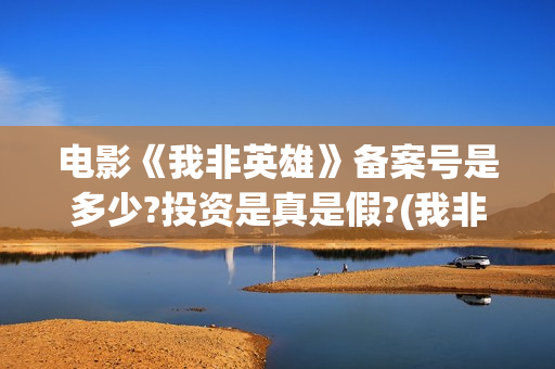 电影《我非英雄》备案号是多少?投资是真是假?(我非英雄mp4)
